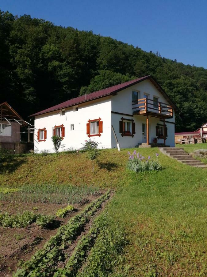 Pensiunea Bobu Hotell Izvoru Muntelui Eksteriør bilde